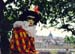 ARLECCHINO